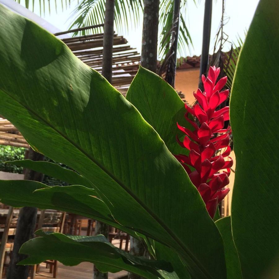 Sumatra Ecolodge Sao Sebastiao  Εξωτερικό φωτογραφία